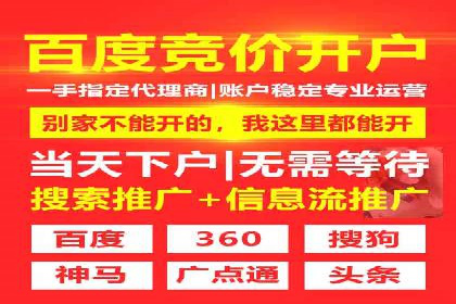 竞价广告案例分享：XX电商平台的成功秘诀