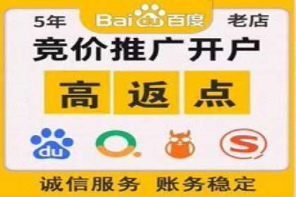 案例研究：SEM推广助力企业实现业绩增长